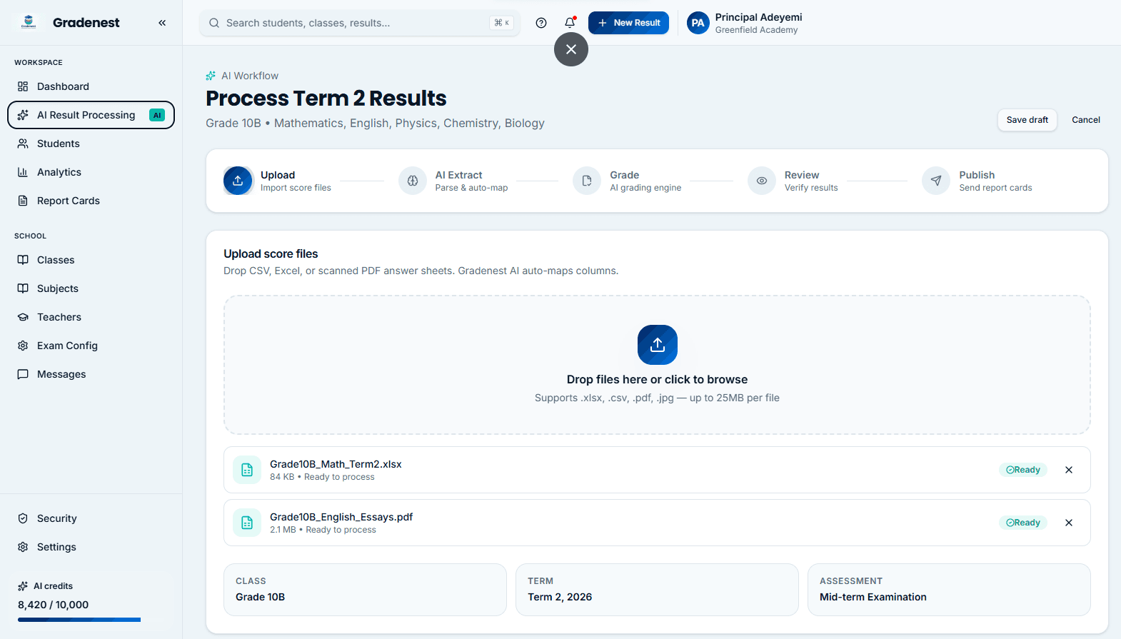 AI Result Processing Interface